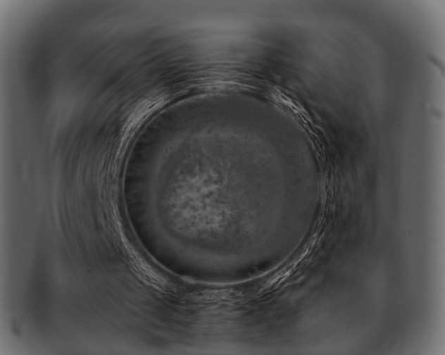 X0000093100049200709261238