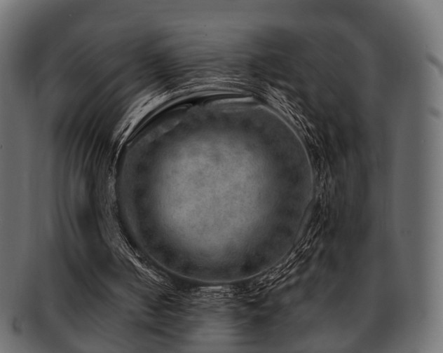 X0000093100050200709261238