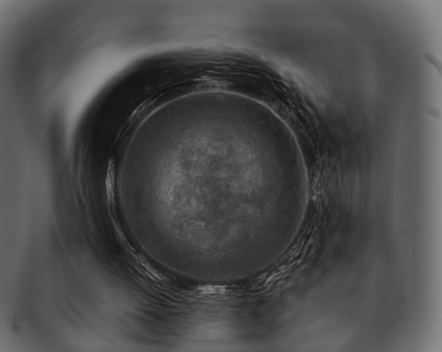X0000093100052200709261238