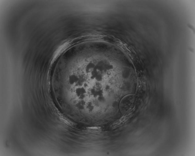 X0000093100053200709261238