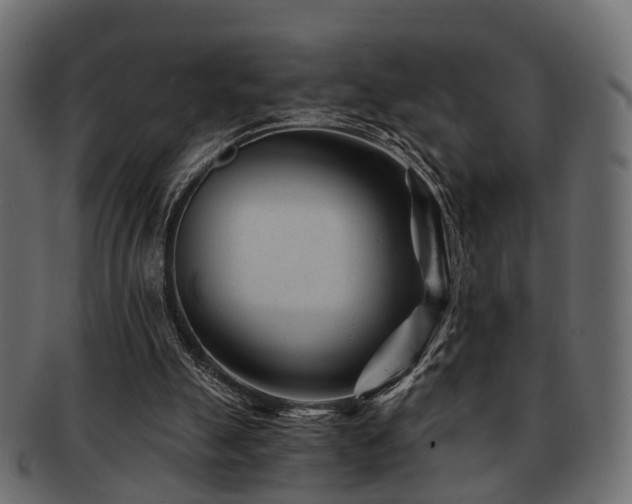 X0000093100055200709261239
