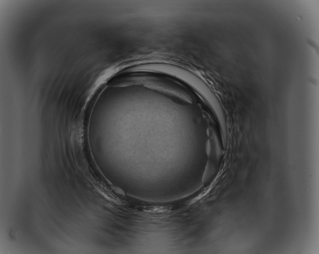 X0000093100056200709261239