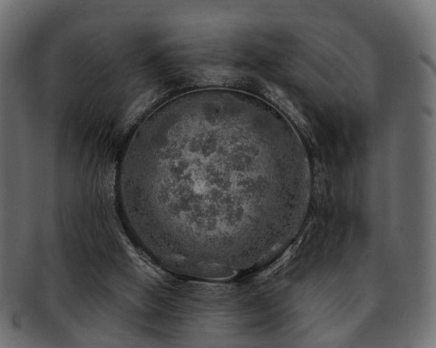 X0000093100058200709261239