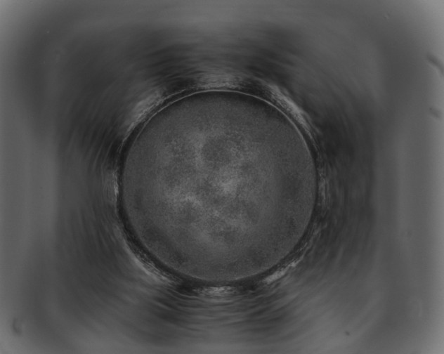 X0000093100059200709261239