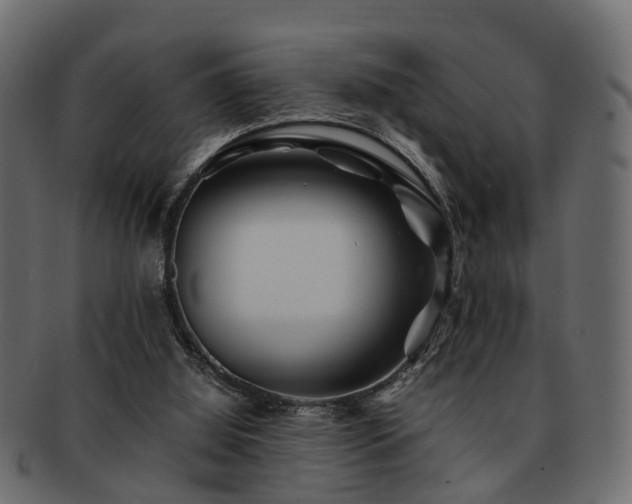 X0000093100060200709261239