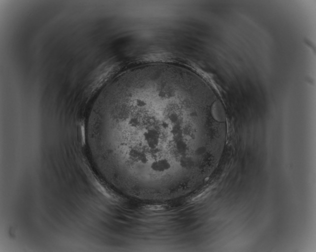 X0000093100061200709261239