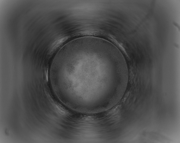 X0000093100062200709261239