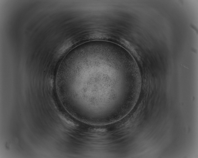 X0000093100063200709261239