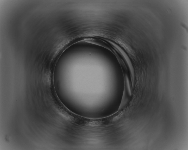 X0000093100064200709261239