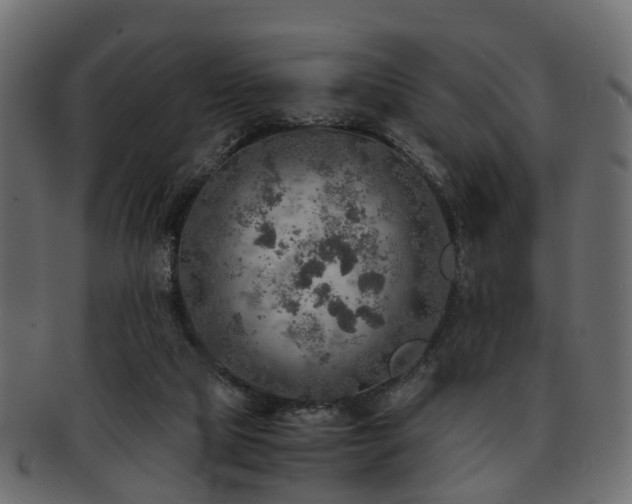 X0000093100065200709261239