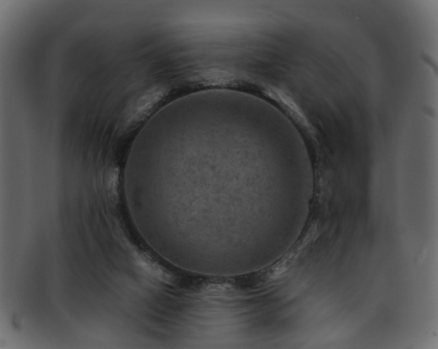 X0000093100066200709261239