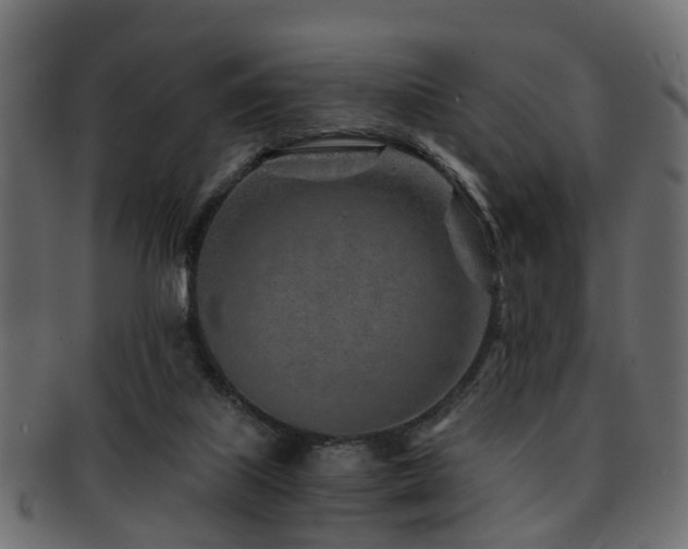 X0000093100067200709261239