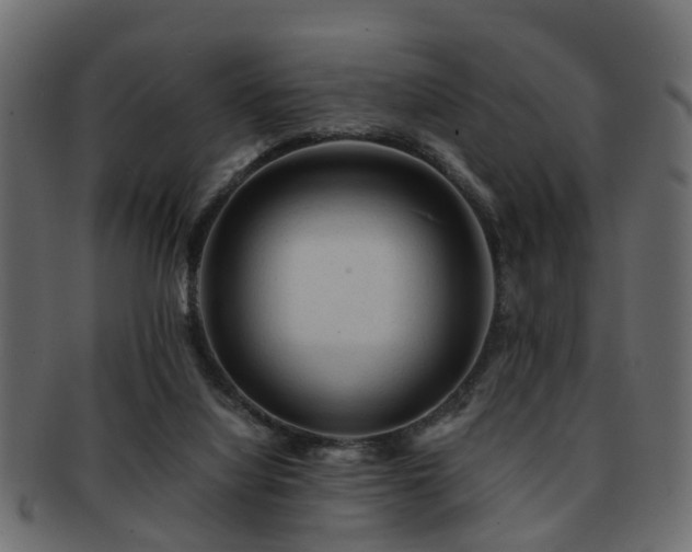 X0000093100068200709261239