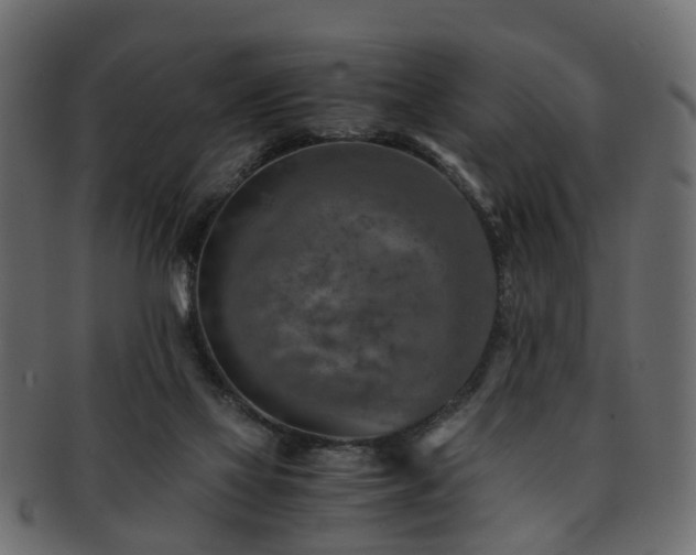 X0000093100069200709261239