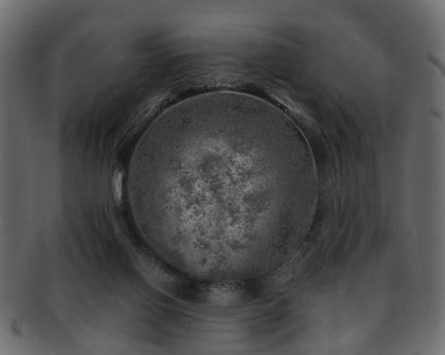 X0000093100070200709261239