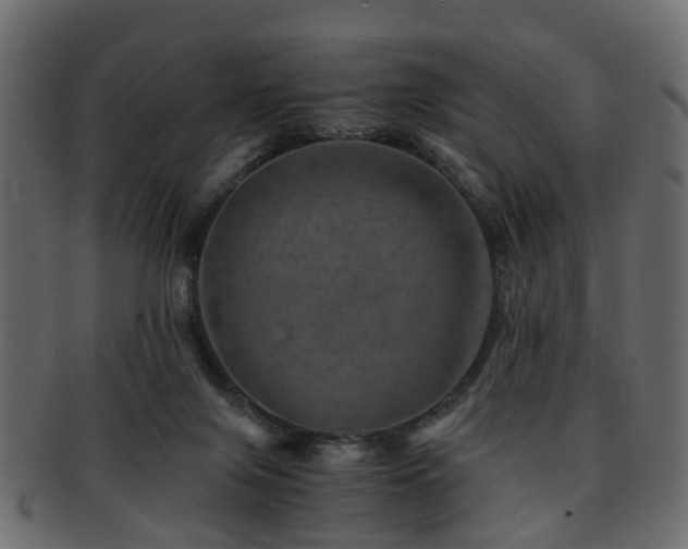 X0000093100071200709261239