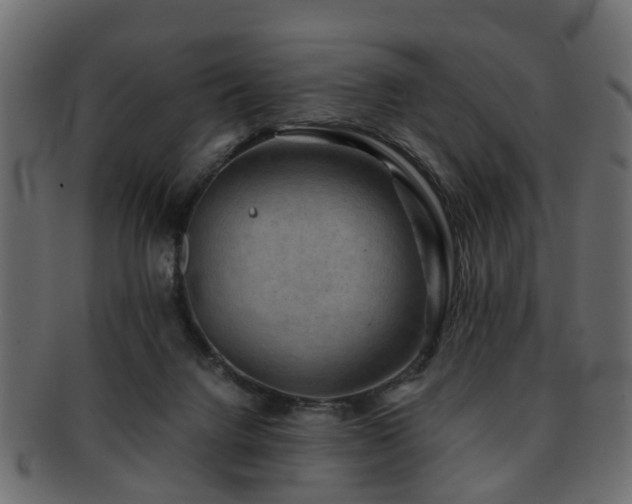 X0000093100072200709261239
