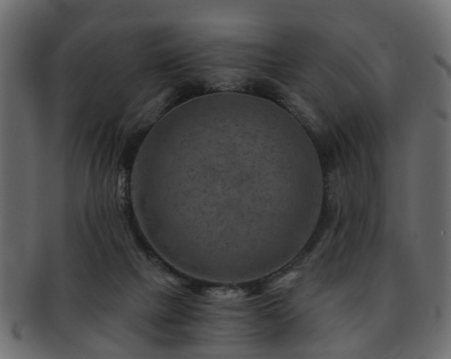 X0000093100073200709261239