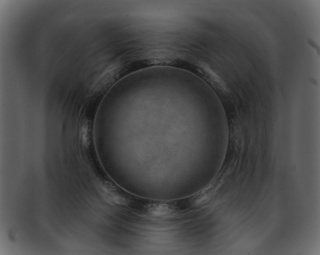 X0000093100074200709261239