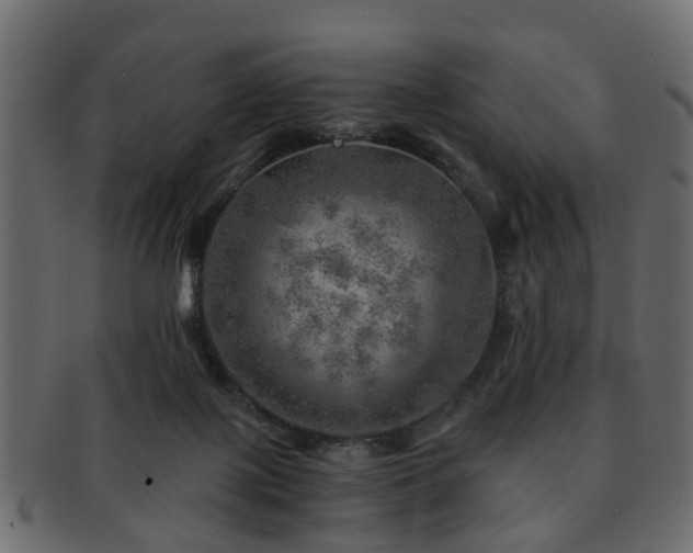 X0000093100075200709261239