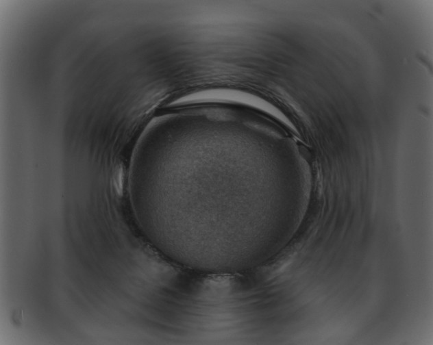 X0000093100076200709261239