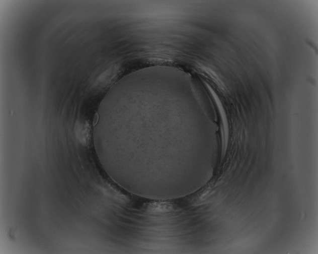 X0000093100077200709261239