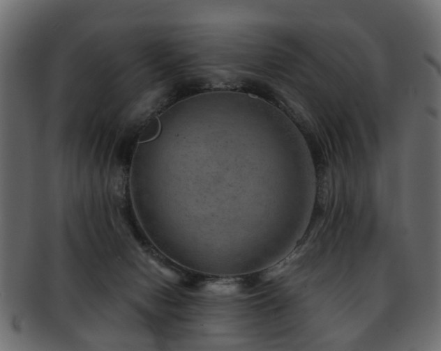 X0000093100078200709261239