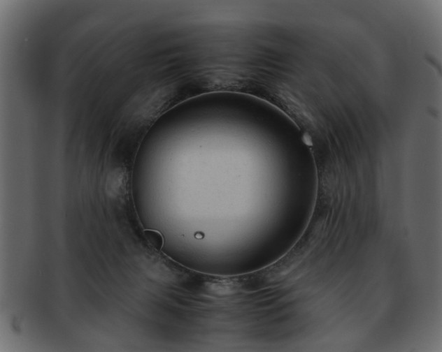 X0000093100079200709261239