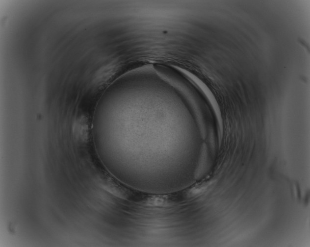 X0000093100080200709261239