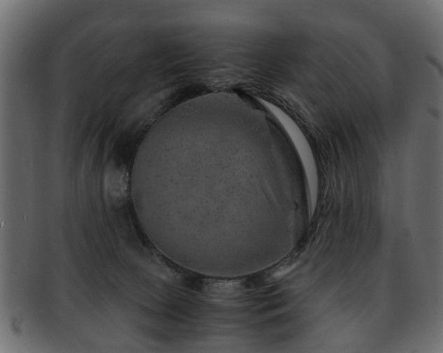 X0000093100081200709261239