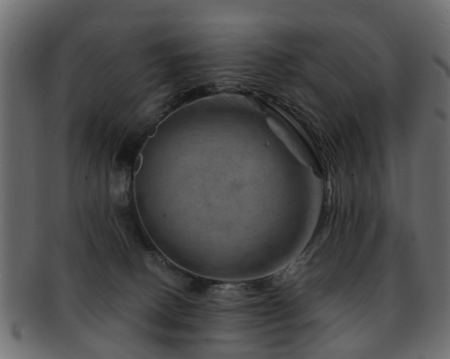 X0000093100082200709261239