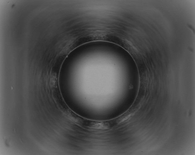 X0000093100083200709261239
