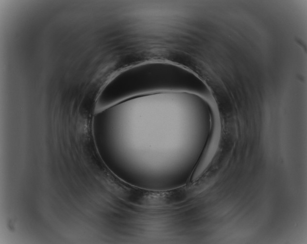 X0000093100084200709261239