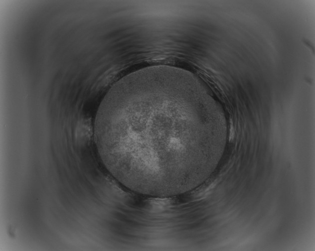 X0000093100085200709261239