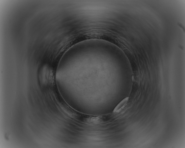 X0000093100086200709261239