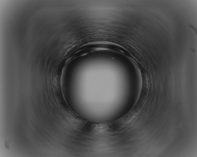 X0000093100088200709261239