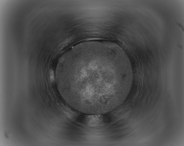 X0000093100089200709261239