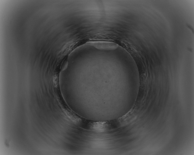 X0000093100090200709261239