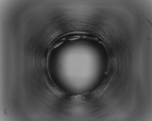 X0000093100092200709261239