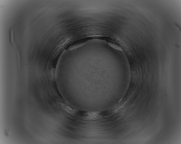 X0000093100093200709261239