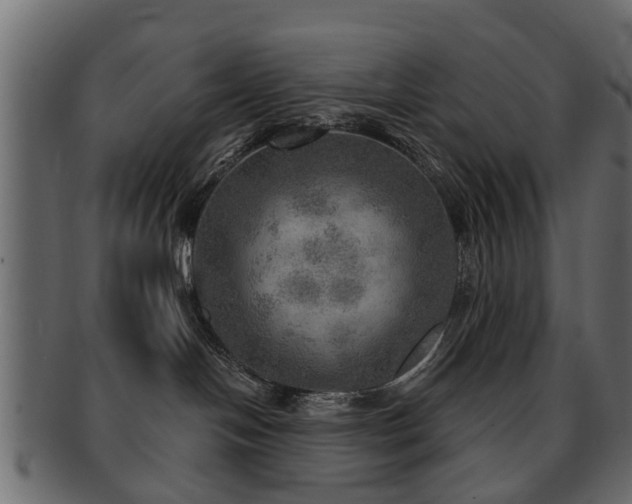 X0000093100094200709261239