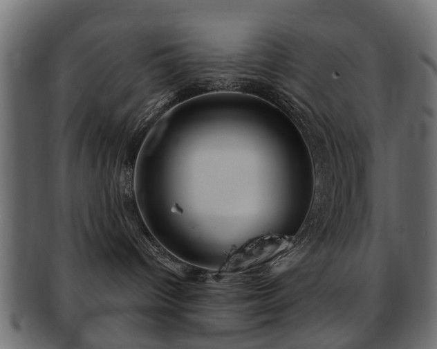 X0000093100096200709261239