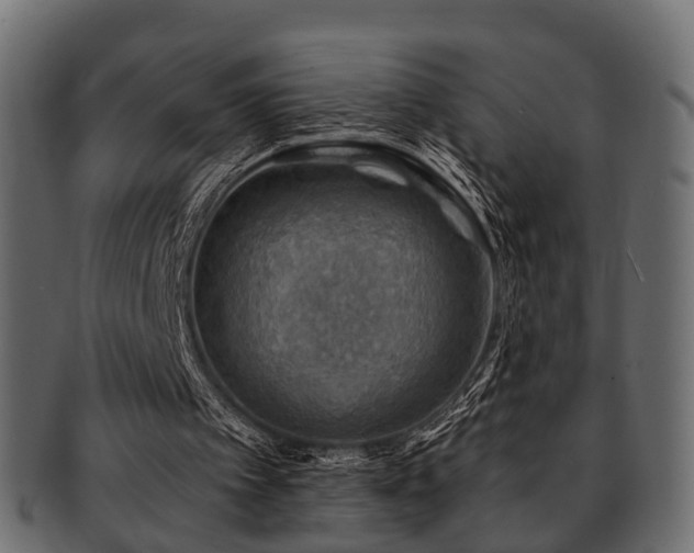 X0000093100097200709261238