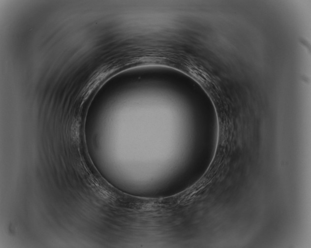 X0000093100098200709261238
