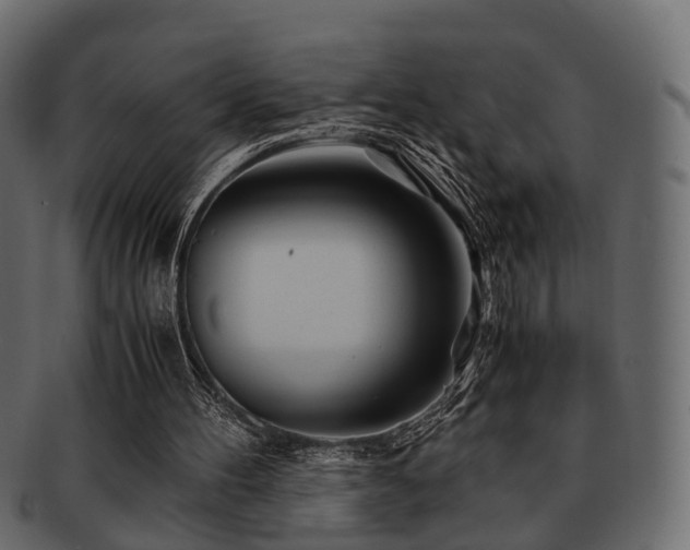 X0000093100100200709261238
