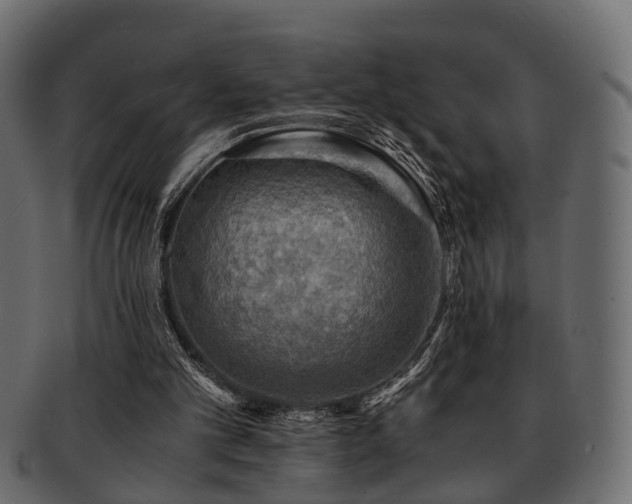 X0000093100101200709261238