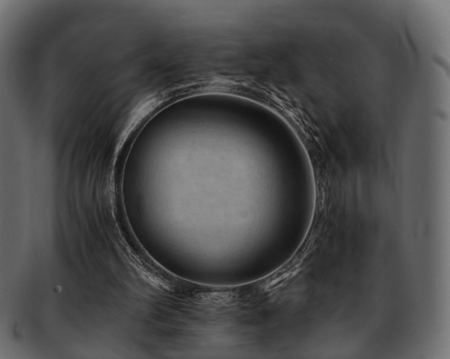 X0000093100102200709261238