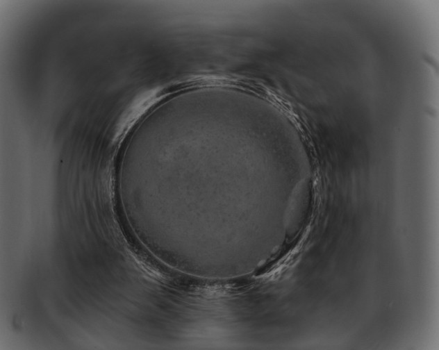 X0000093100103200709261238