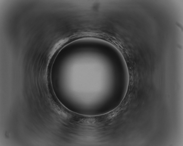 X0000093100104200709261238