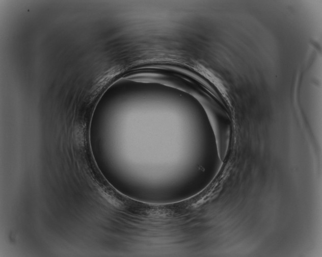 X0000093100105200709261238